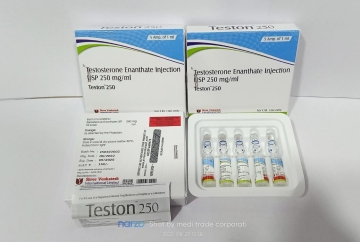 Teston 250 Injection (Testosterone Enanthate Injection 250mg/ml) Per Piece